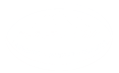paramount logo white